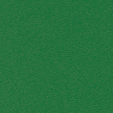 ROMA Farbe:  dunkel grün (VP0908)